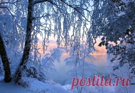 Потрясающие фотографии зимней природы (40 фото)