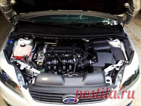 Подключение регистратора и радар-детектора, отзыв о Ford Focus 2010 Дополнение к отзыву владельца о Форд Фокус 2010: Подключение регистратора и радар-детектора, Всем привет, бензин, механика, 1.6 литра, передний привод