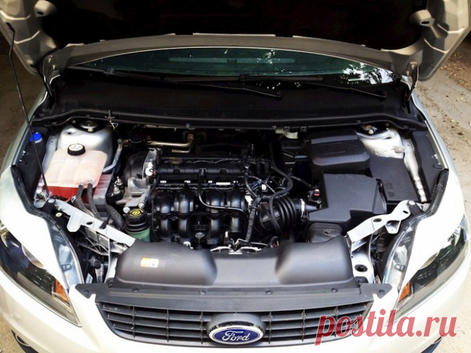 Подключение регистратора и радар-детектора, отзыв о Ford Focus 2010 Дополнение к отзыву владельца о Форд Фокус 2010: Подключение регистратора и радар-детектора, Всем привет, бензин, механика, 1.6 литра, передний привод