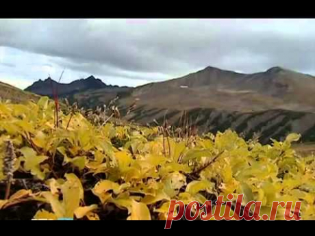 Супер Вулканы на Камчатке