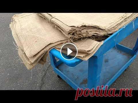 Лучший вариант защиты деревьев от заморозков -- джутовая мешковина! 15 января 2020, Сакраменто, Калифорния....
