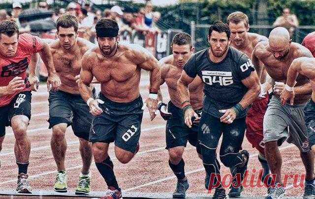 57 тренировок на всё тело из системы кроссфит на все группы мышц для похудения полного
Поклонникам популярной системы кроссфит (CrossFit) предлагается выход из затруднительного положения, вызванного отсутствием возможности регулярно посещать тренировки в зале, а начинающим – выяснить подходит ли вам эта система тренировок. На даче, вдали от «благ цивилизации» или дома вы сможете продолжить...