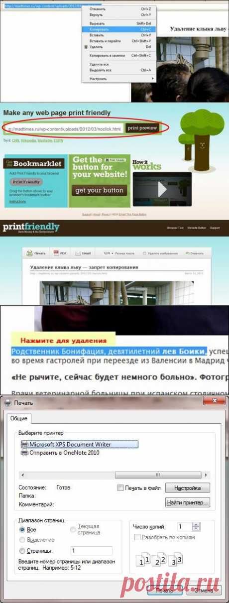 скопировать некопируемый текст