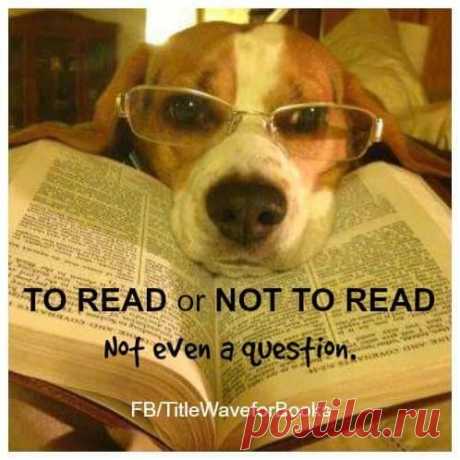 Mobile Uploads - Goodwill Librarian