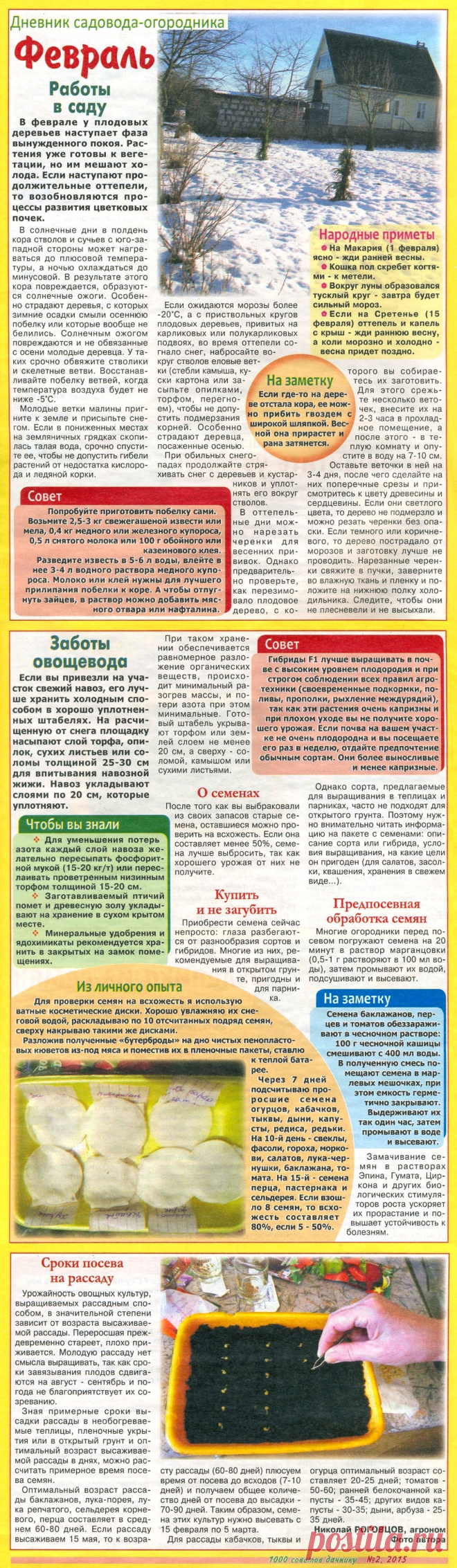 Февраль. Дневник садовода-огородника
