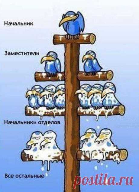 Иерархия