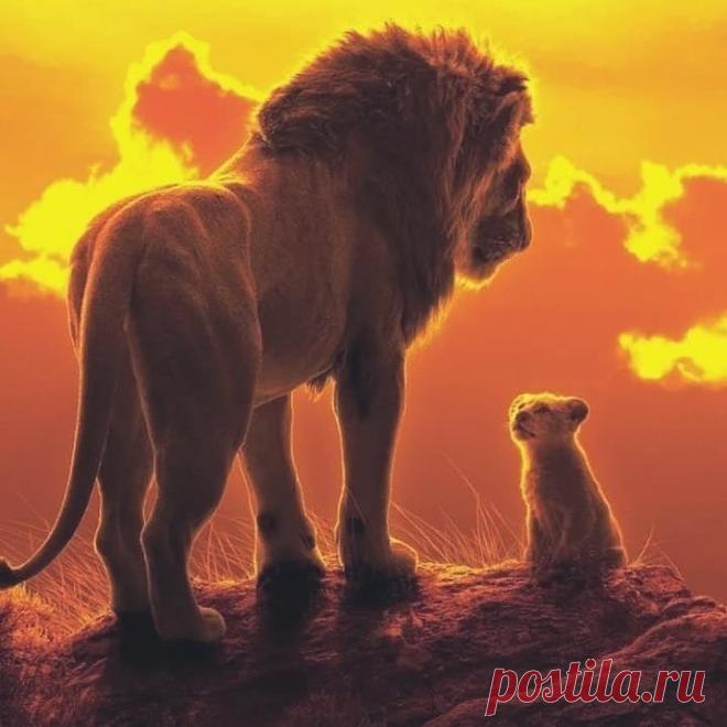 Смешная дикая природа