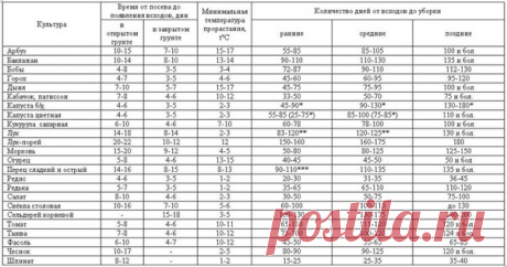 Всхожесть семян, сроки всходов и созревания овощных культур