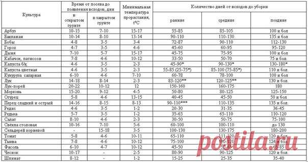 Всхожесть семян, сроки всходов и созревания овощных культур
