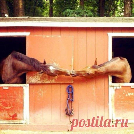 30 улётных фотографий, которые сделаны в очень подходящий момент | Krutous Info