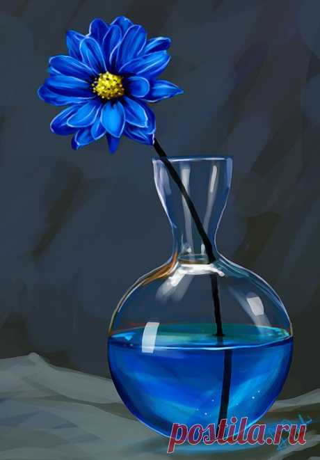 .blue and blue | Flowers