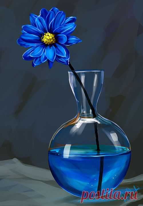 .blue and blue | Flowers