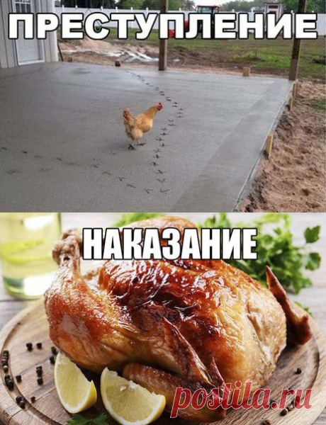 Елена Имаева