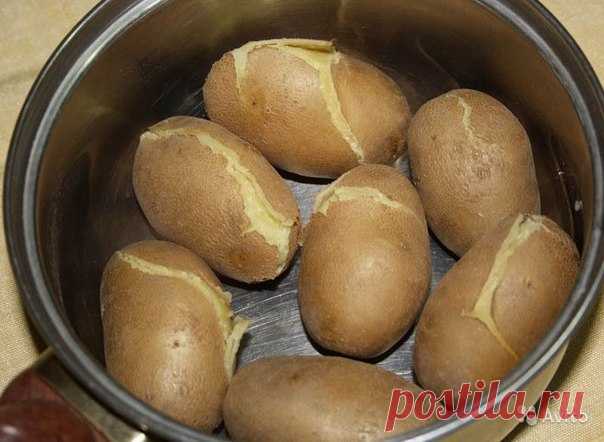 Как вылечить ребенку сильный кашель 
Сварить 4 средние картофелины в мундире, растолочь с кожурой, добавить 3ч.л. соды, мед (обошлись без него). Хорошо вымесить массу и слепить 2 лепешки. Завернуть лепешки в чистые тряпочки и приложить …