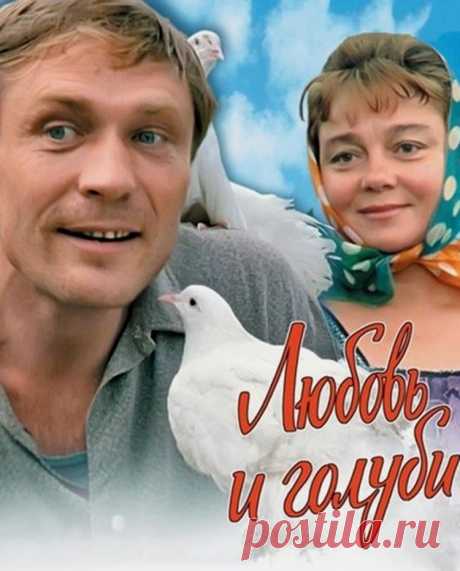 «Любовь и голуби»: детали, факты и редкие кадры из фильма