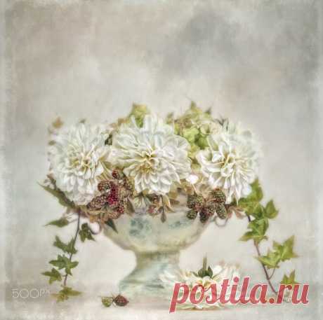 dahlias&berries