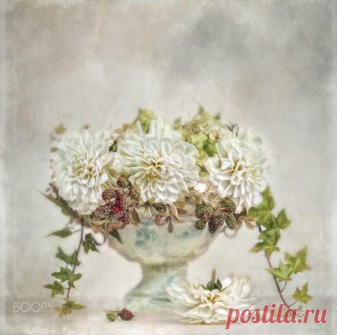 dahlias&berries