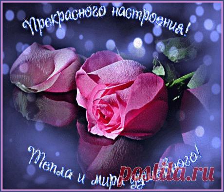 Плейкаст «ПРЕКРАСНОГО НАСТРОЕНИЯ!»