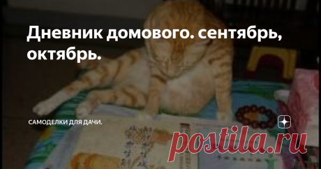 Дневник домового. сентябрь, октябрь. Сентябрь.
1 сентября. День знаний. Кот сожрал букварь.
3 сентября. Третье сентября - день прощанья, День когда горят костры рябин, Как костры горят обещанья. В день когда я совсем один... И кот ещё со мной. И хозяйка.
4 сентября. Хахаль на удивление настырен. Ходит и ходит. Как ему объяснить, что у меня аллергия на розы?