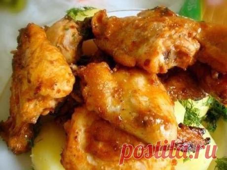Интересные новости    Горячая закуска «Золотистая курочка»