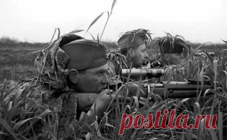 Снайпер 203-й стрелковой дивизии (3-й Укрров противника. 1943 год. / История цивилизаций!