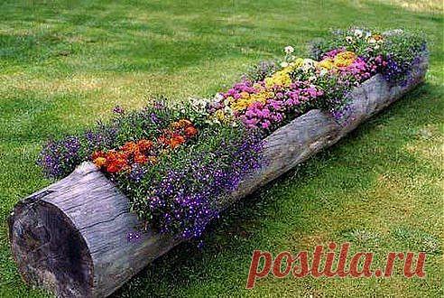 Идея для дачи