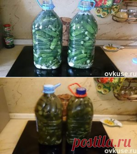 Соленые огурцы (как из бочки) в пластиковой бутылке