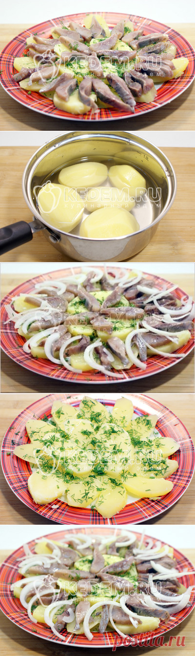 Закуска из селёдки с картофелем – Рецепт с фото. Рецепты. Закуски. Закуски из рыбы и морепродуктов