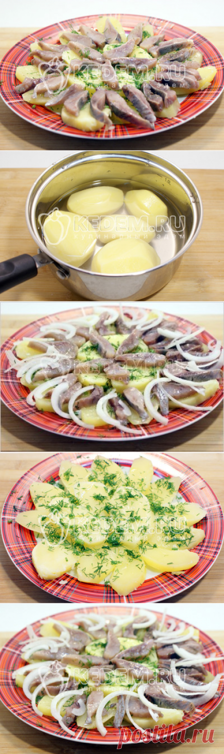 Закуска из селёдки с картофелем – Рецепт с фото. Рецепты. Закуски. Закуски из рыбы и морепродуктов