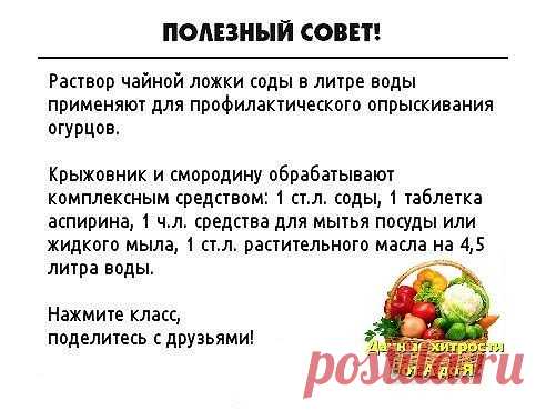 На заметку!