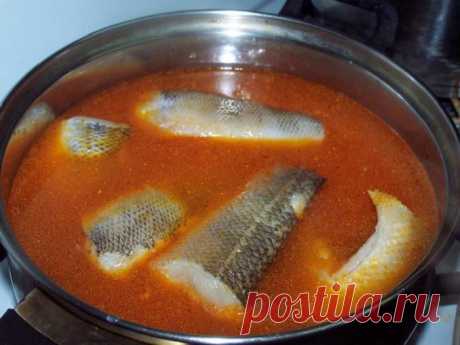 Я очень люблю готовить различные вкусные и полезные супы. За советами по приготовлению я всегда обращаюсь к своей любимой тете, которая на данный момент живет в Молдавии.