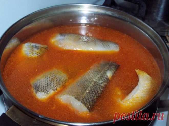 Я очень люблю готовить различные вкусные и полезные супы. За советами по приготовлению я всегда обращаюсь к своей любимой тете, которая на данный момент живет в Молдавии.