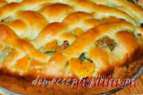 Дрожжевой пирог с тыквой, мясным фаршем и солеными огурцами Дрожжевой пирог с тыквой, мясным фаршем, консервированными огурцами, луком и специями - пошаговый подробный рецепт домашнего пирога