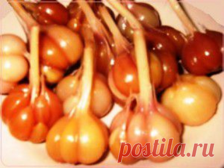Маринованный, острый чеснок | Рецепты вкусно