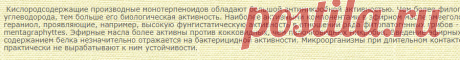 Змееголовник молдавский (30 шт.) / Dracocephalum moldavicum lemon