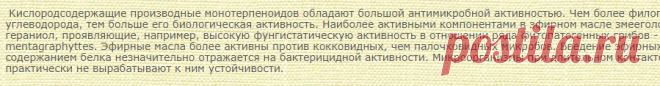 Змееголовник молдавский (30 шт.) / Dracocephalum moldavicum lemon