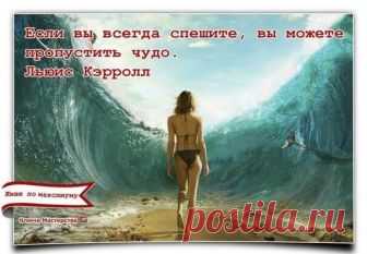 «Если вы всегда спешите, то можете пропустить чудо.» Люис Керролл