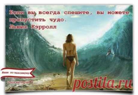«Если вы всегда спешите, то можете пропустить чудо.» Люис Керролл