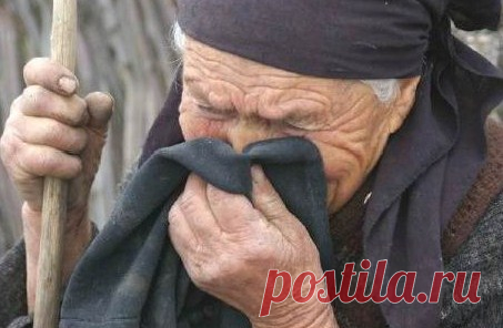 Неужели только телеграммы привели вас к маме ?