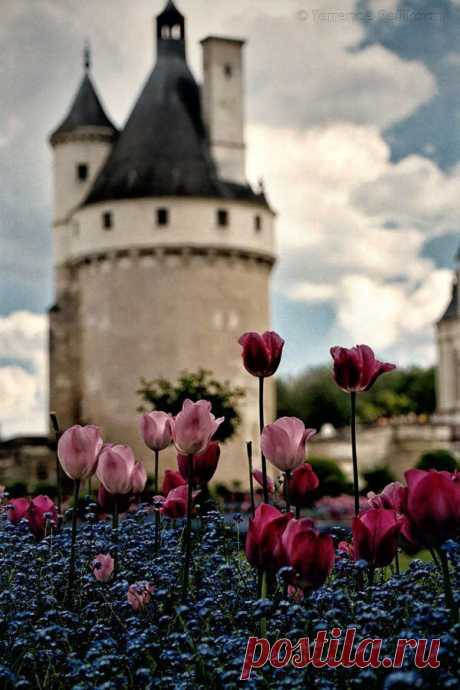 Социальная сеть Мой Мир@Mail.Ru: Ваши одноклассники, однокурсники и друзья в контакте с Вами!