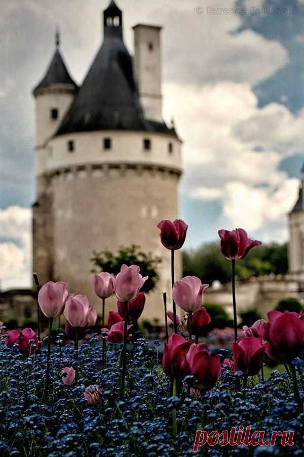 Социальная сеть Мой Мир@Mail.Ru: Ваши одноклассники, однокурсники и друзья в контакте с Вами!