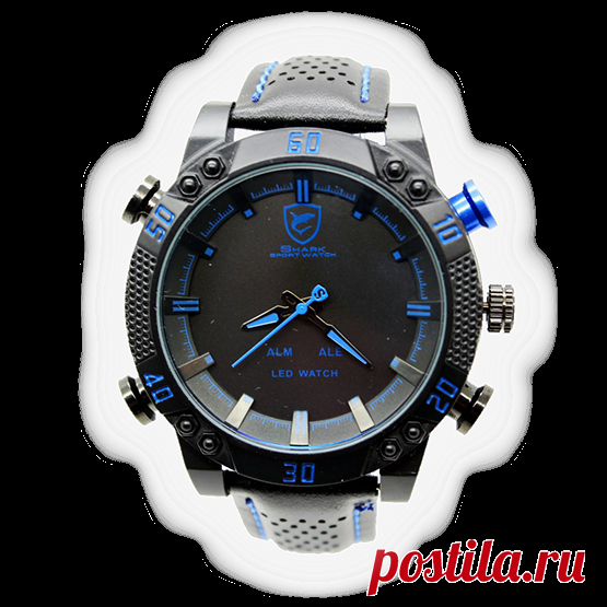 Shark sport