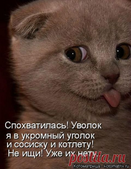 а счастливый-то, довольный и рад до ушей, аж вся мордашка светится и не ведает того, что нам придется встретится...