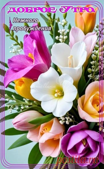 С добрым утром Привет Здрасте Добрый день