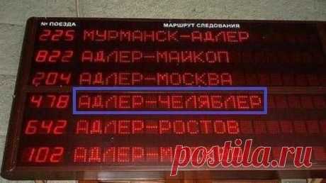 Маразмы года