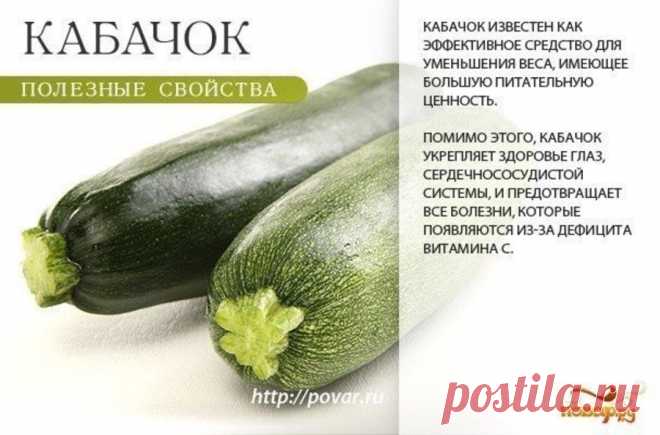 Кабачок полезные свойства