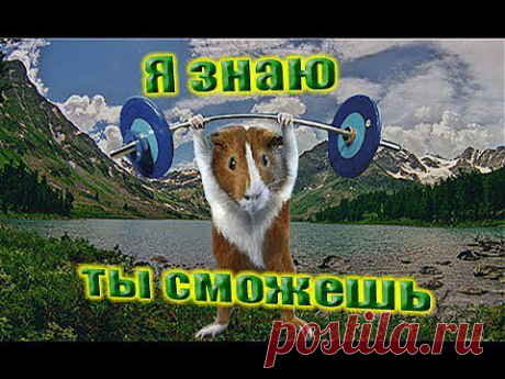Жить здоровым здорово - YouTube