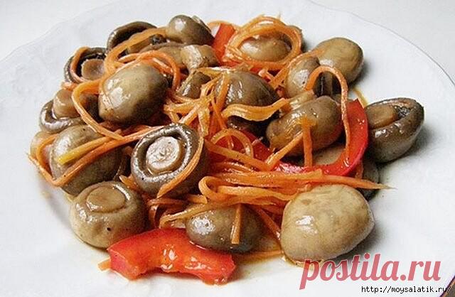 Шампиньоны по-корейски.
====================
 Ингредиенты: 
- 1 кг свежих шампиньонов
- 1 средняя морковь
- 2 луковицы
- 3 зубчика чеснока
- 1 болгарский перец
- 100 г растительного масла
- 1 чайная ложка уксусной эссенции
- соль, 
сахар, 
перец по вкусу .

Приготовление:
Шампиньоны по-корейски нарезать и варить 5-10 минут. 
После чего тщательно промыть холодной водой. 
Морковь нарезать тонкими кружочками, лук нарезать полукольцами и обжарить их вместе. 
Перец нарезать куб...