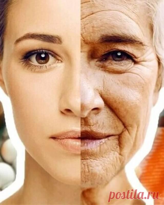 Опасные продукты из холодильника, превращающие 30-летних красоток в бабушек — Психология