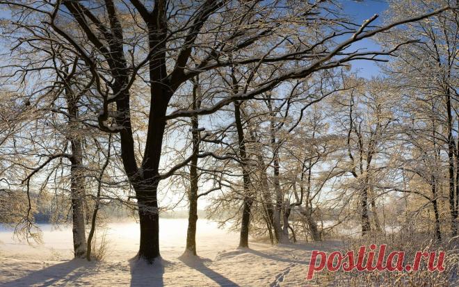 635740526.jpg (1920×1200)